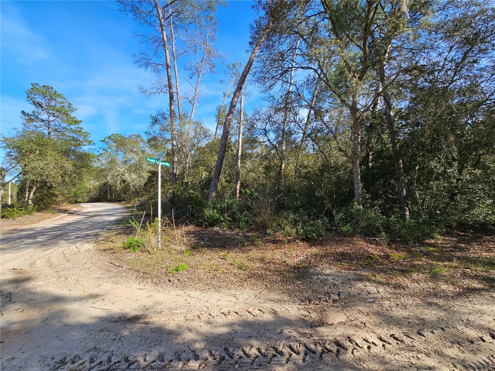 130 Deer Stand Property Photo