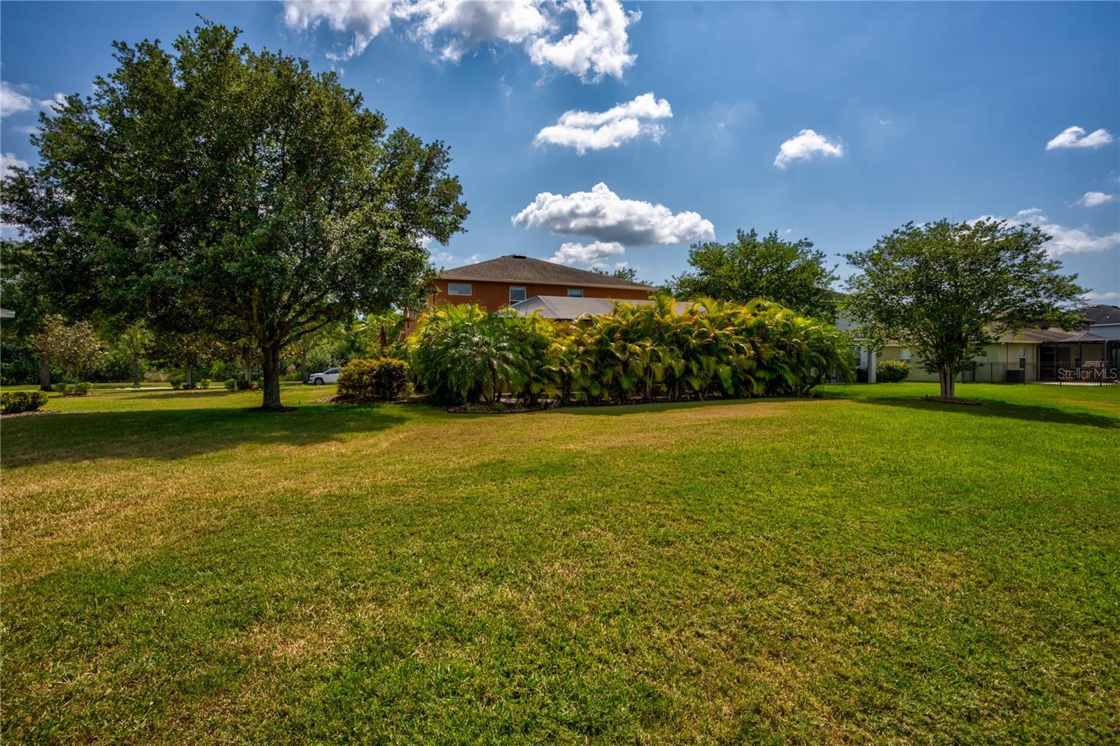 3831 Evergreen Oaks Dr Property Photo 13