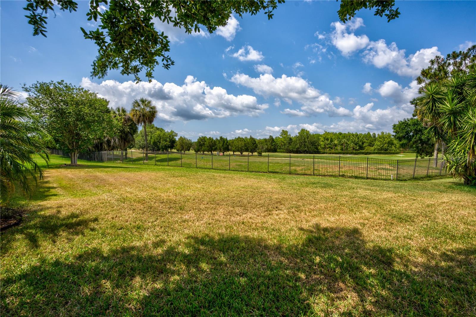3831 Evergreen Oaks Dr Property Photo 14