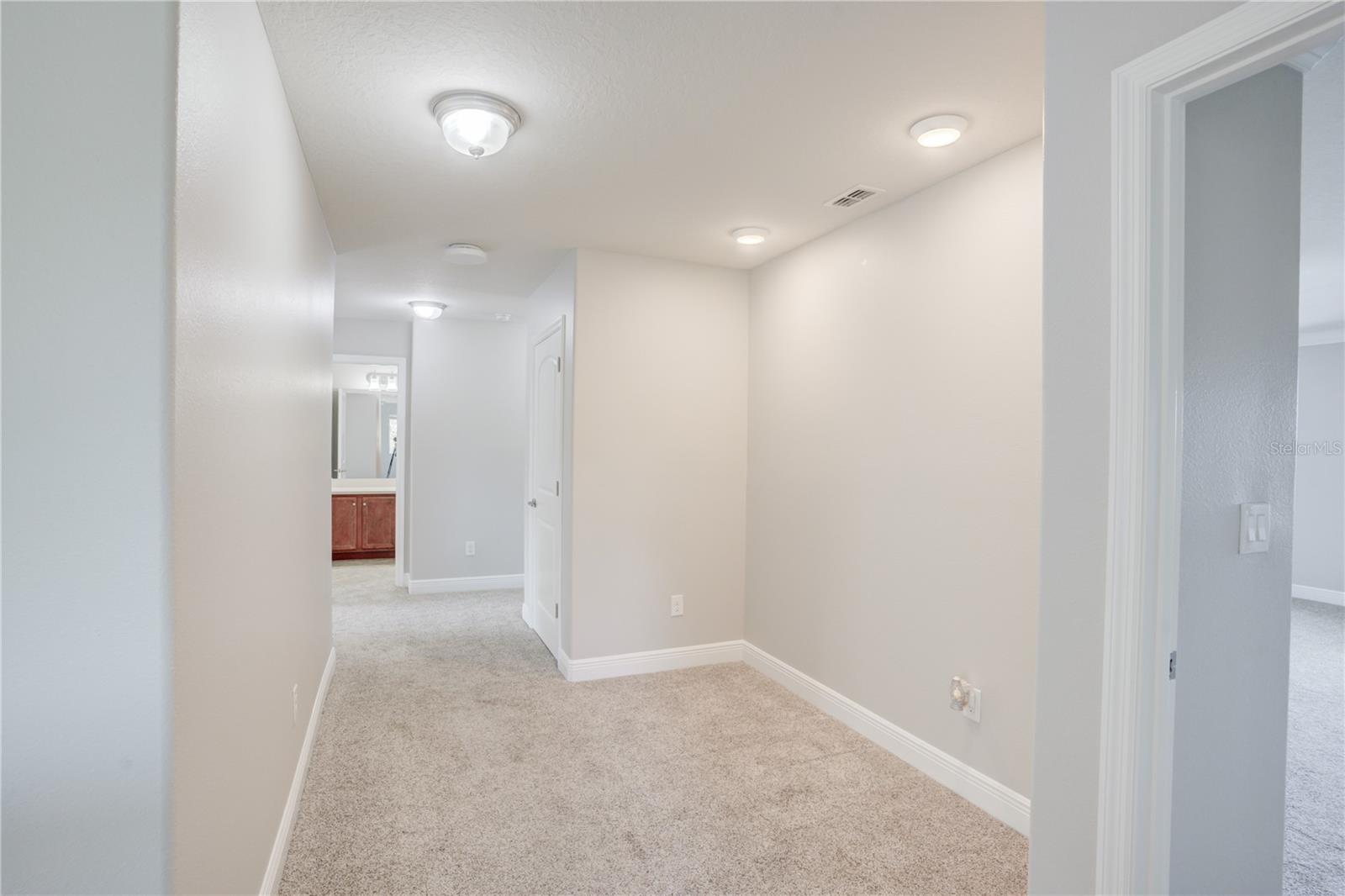 3831 Evergreen Oaks Dr Property Photo 37