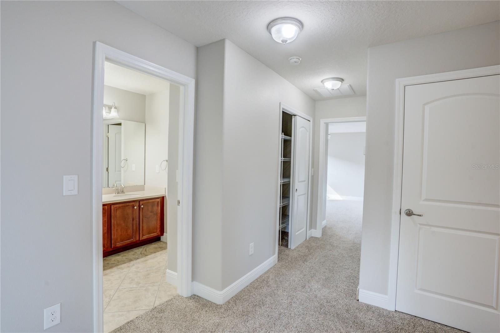 3831 Evergreen Oaks Dr Property Photo 40