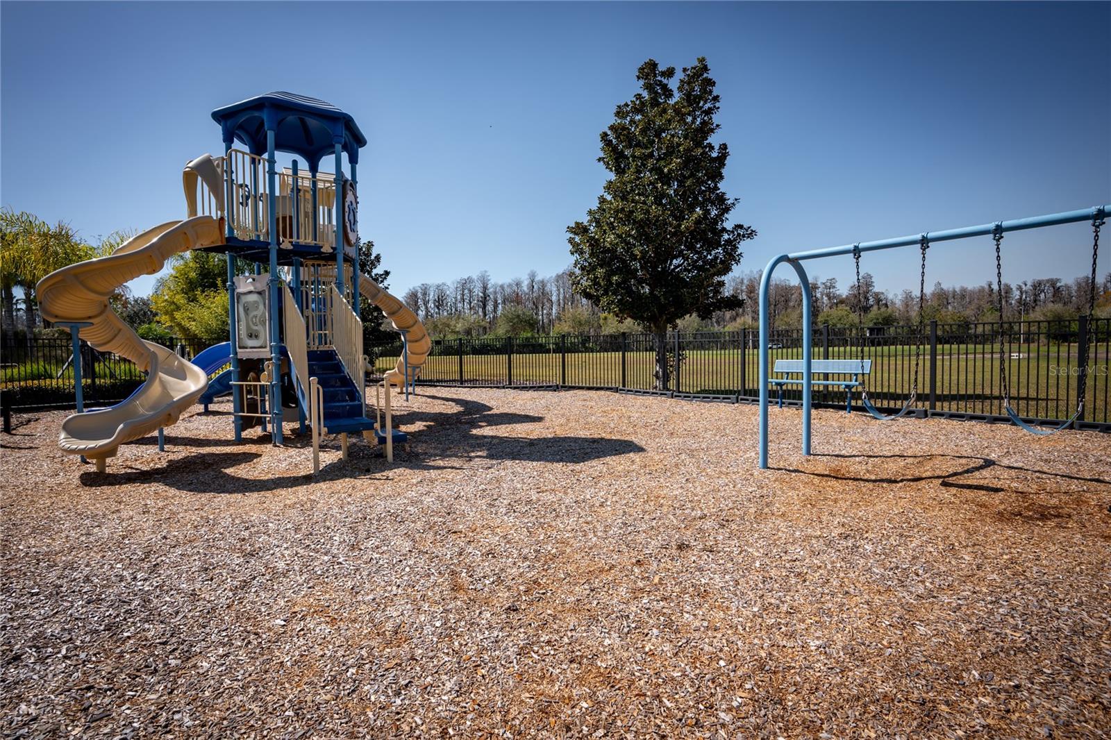 3831 Evergreen Oaks Dr Property Photo 79
