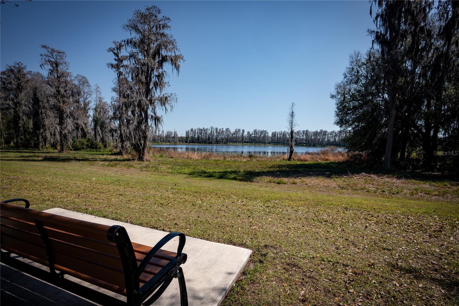 3831 Evergreen Oaks Dr Property Photo 85