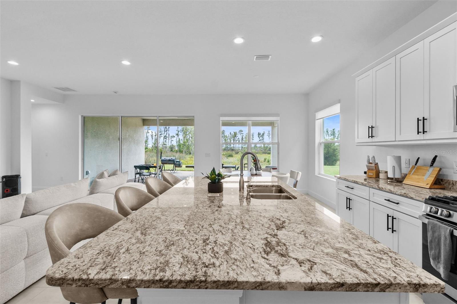 32588 Tree Of Life Ave Property Photo 22