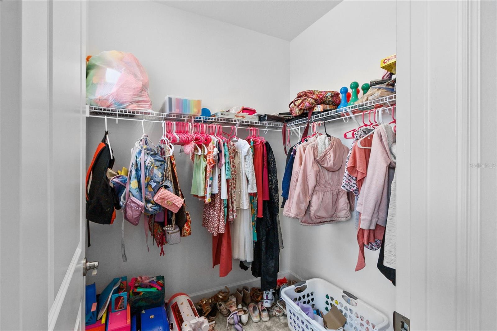 32588 Tree Of Life Ave Property Photo 45