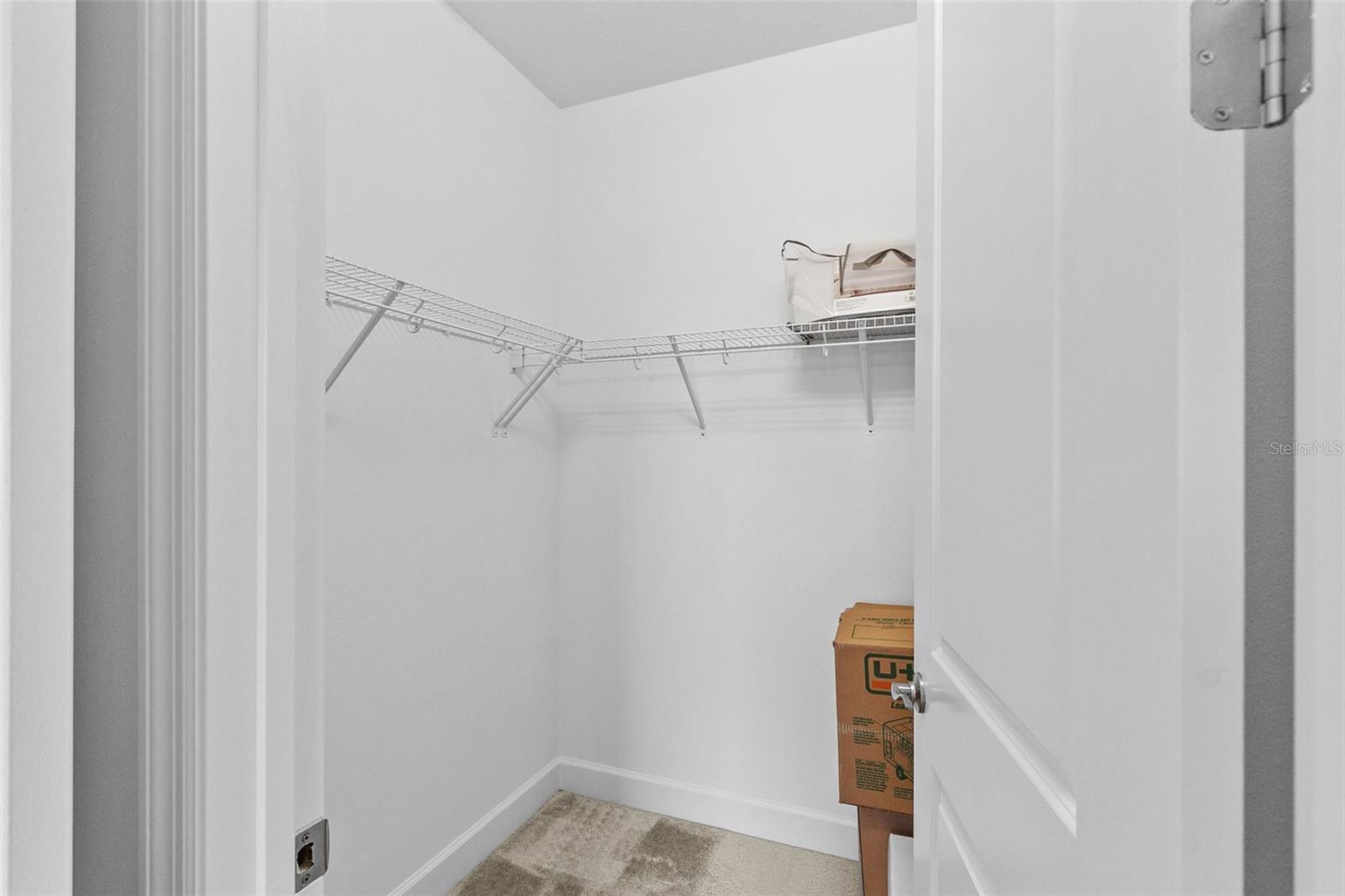 32588 Tree Of Life Ave Property Photo 47