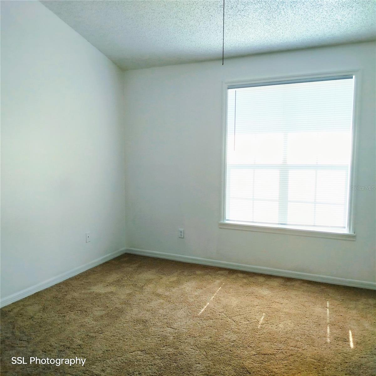 11358 Stratton Park Dr #10 Property Photo 22
