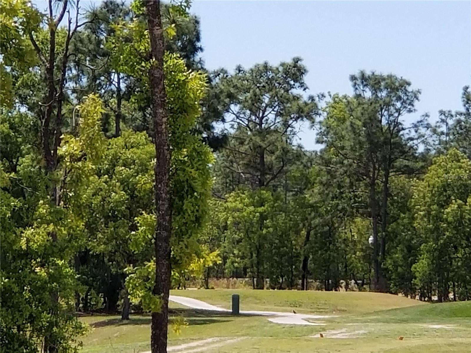 140 Hickory Course Trl Property Photo 17