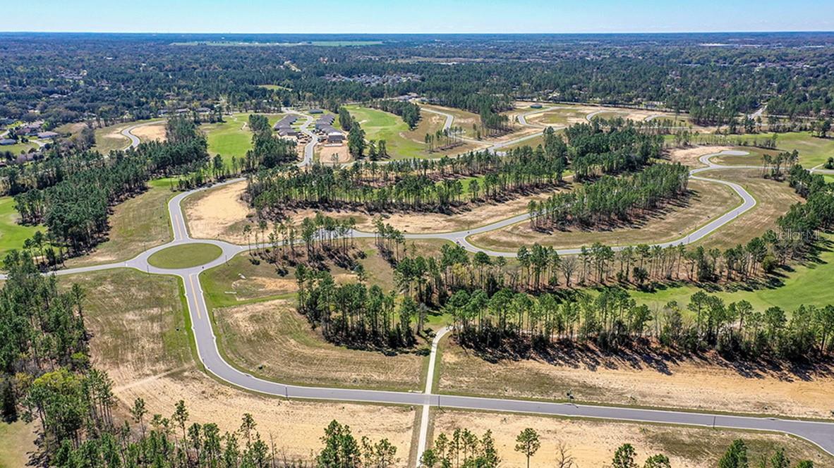 140 Hickory Course Trl Property Photo 18