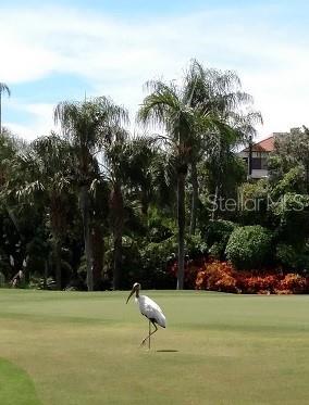 6322 Palma Del Mar Blvd S #305 Property Photo 2