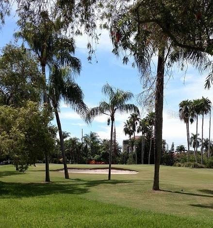 6322 Palma Del Mar Blvd S #305 Property Photo 3