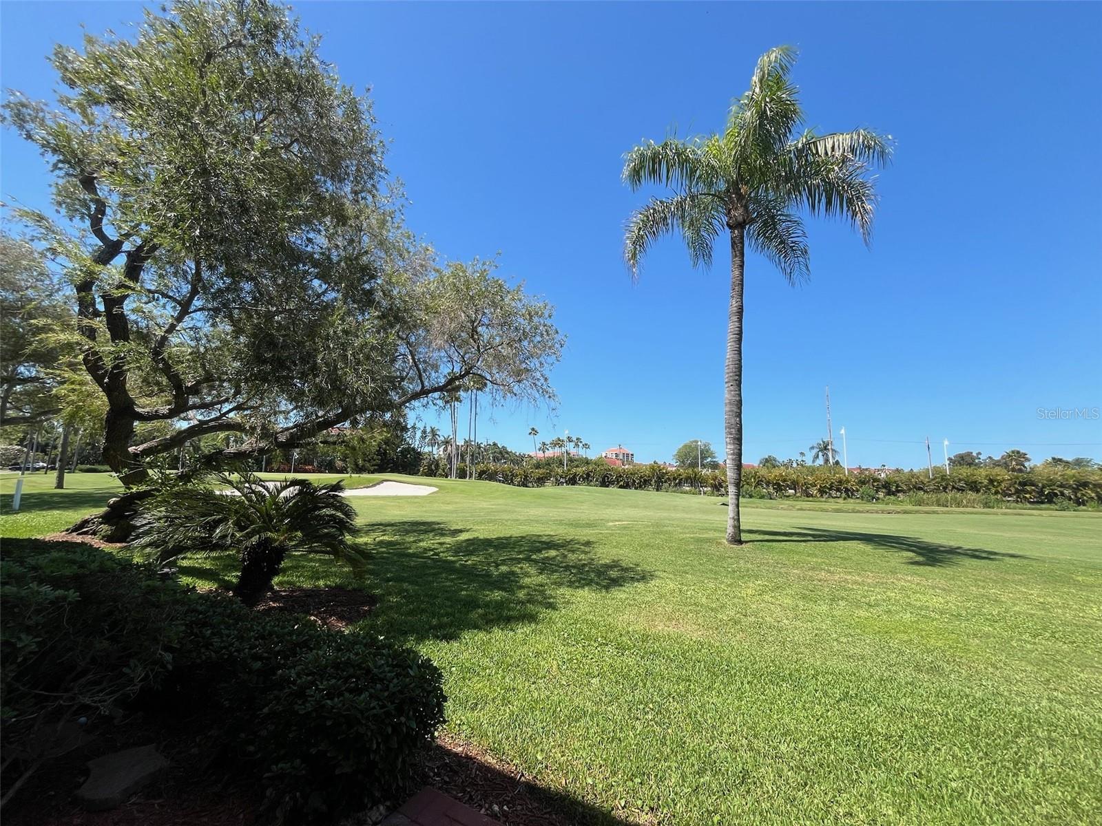 6335 PALMA DEL MAR BLVD S #122 Property Photo 1