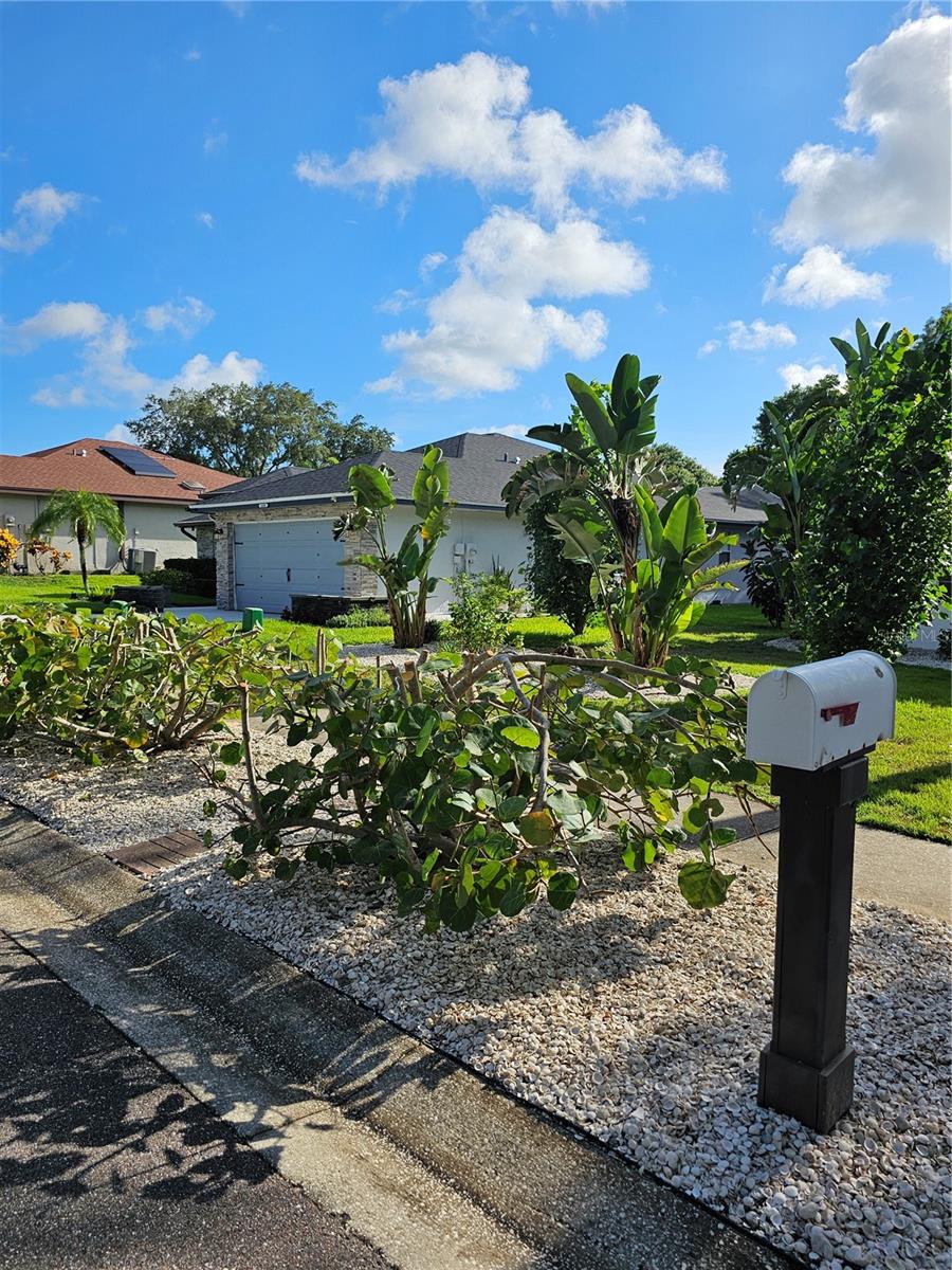 1638 Polo Club Dr Property Photo 5