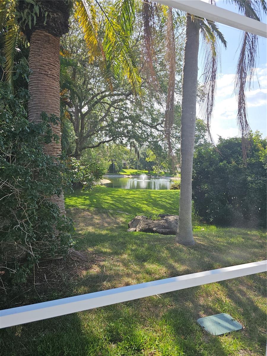 1638 Polo Club Dr Property Photo 38