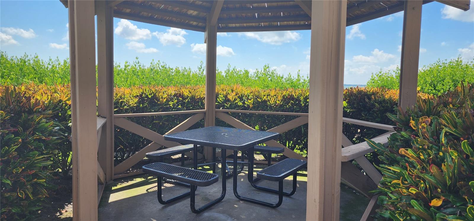 6219 Palma Del Mar Blvd S #206 Property Photo 14