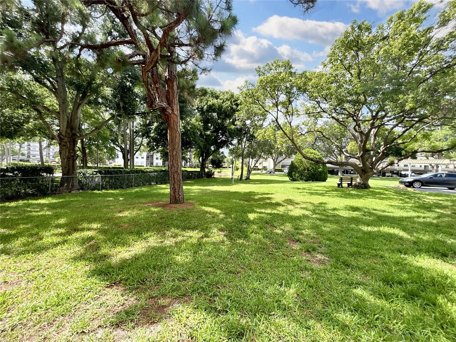 5750 80th St N #c108 Property Photo 3