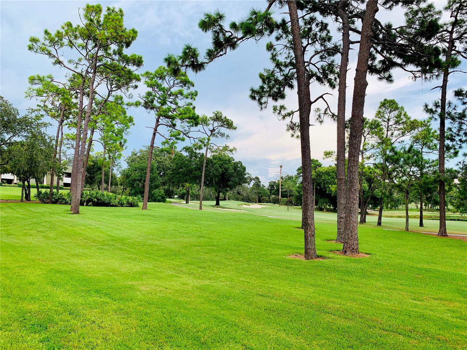 36750 Us Highway 19 N #21-302 Property Photo 10