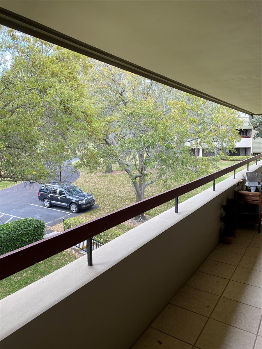 36750 Us Highway 19 N #21-302 Property Photo 21