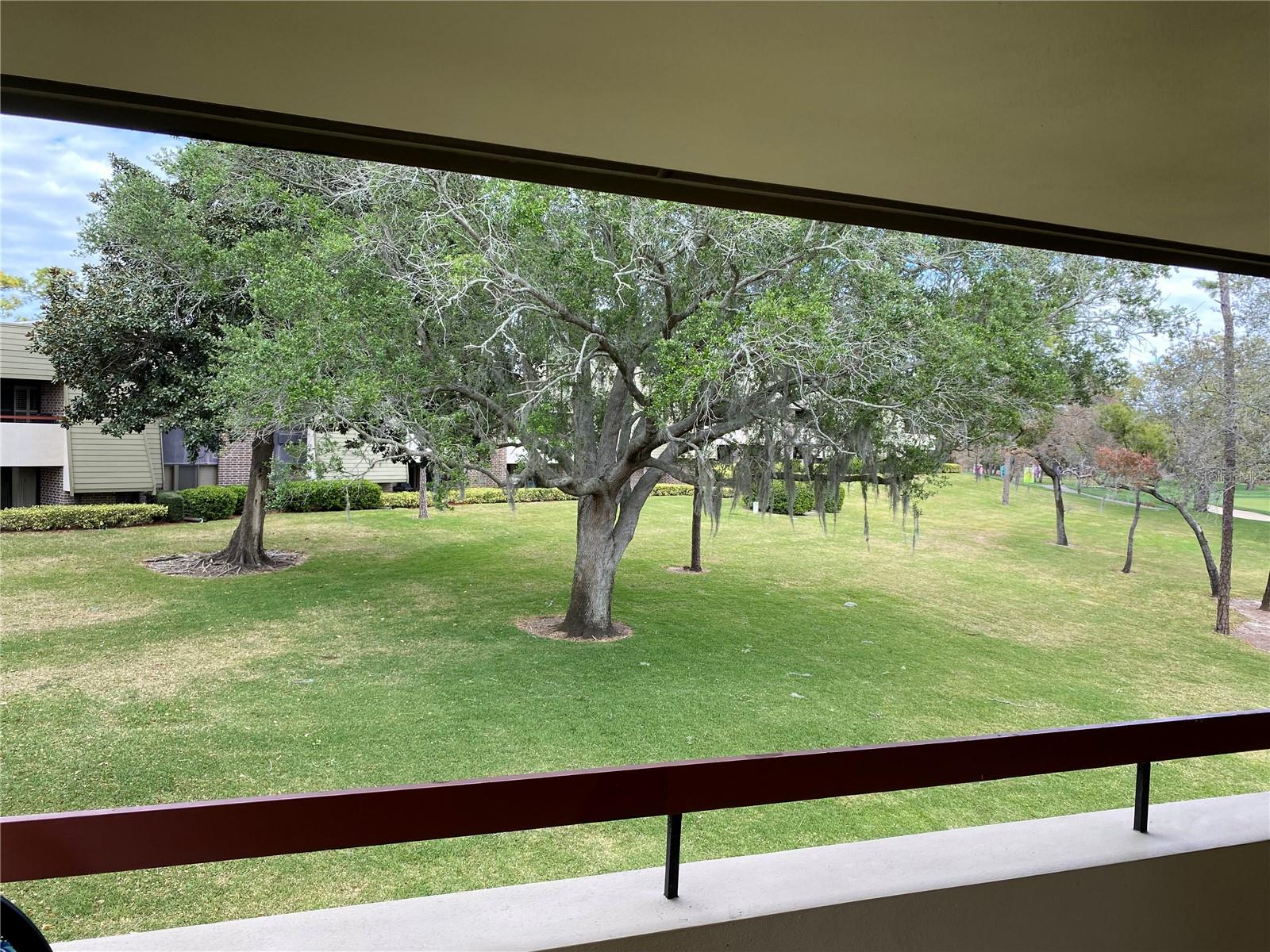 36750 Us Highway 19 N #21-302 Property Photo 23