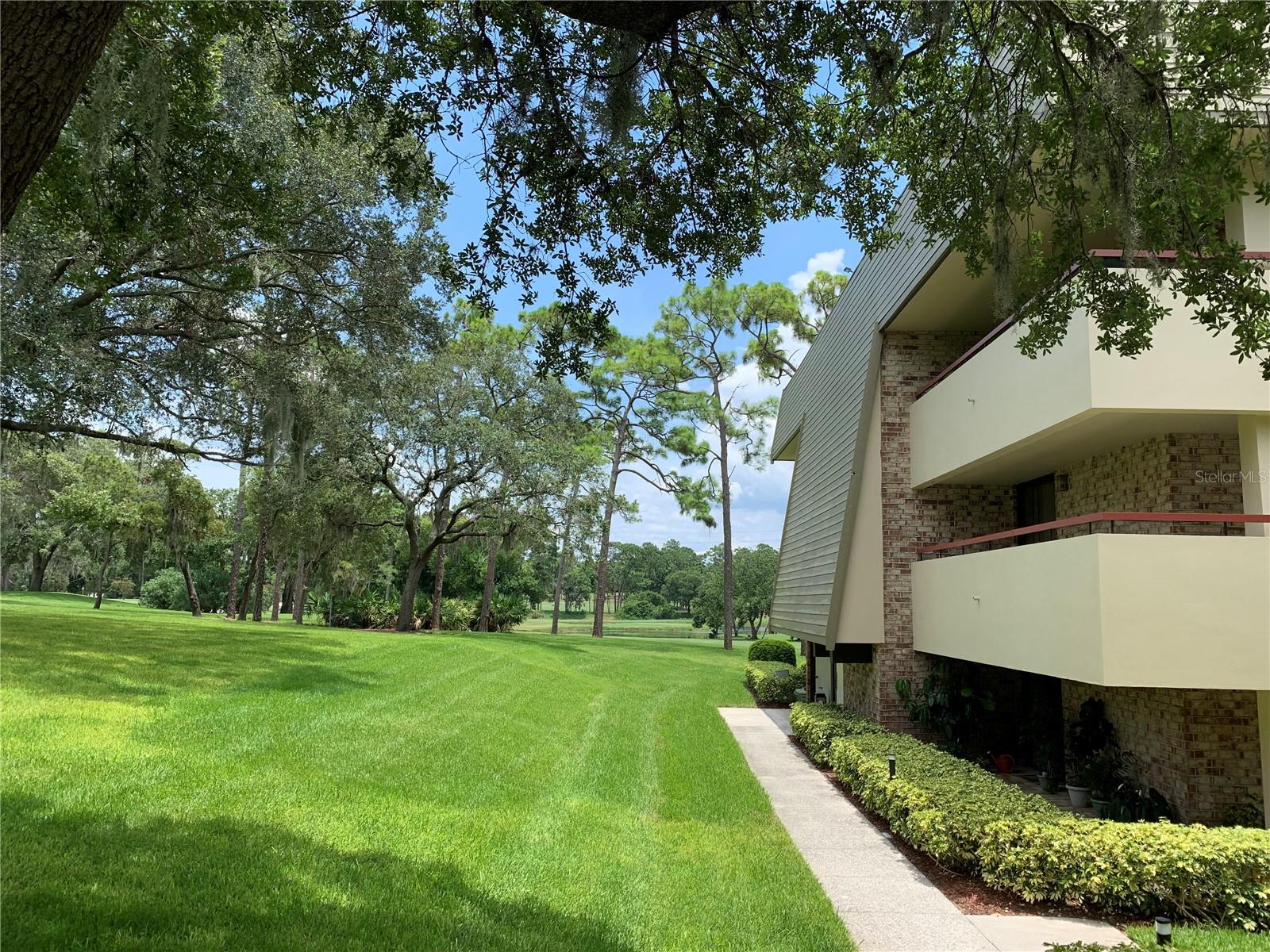 36750 Us Highway 19 N #21-302 Property Photo 31