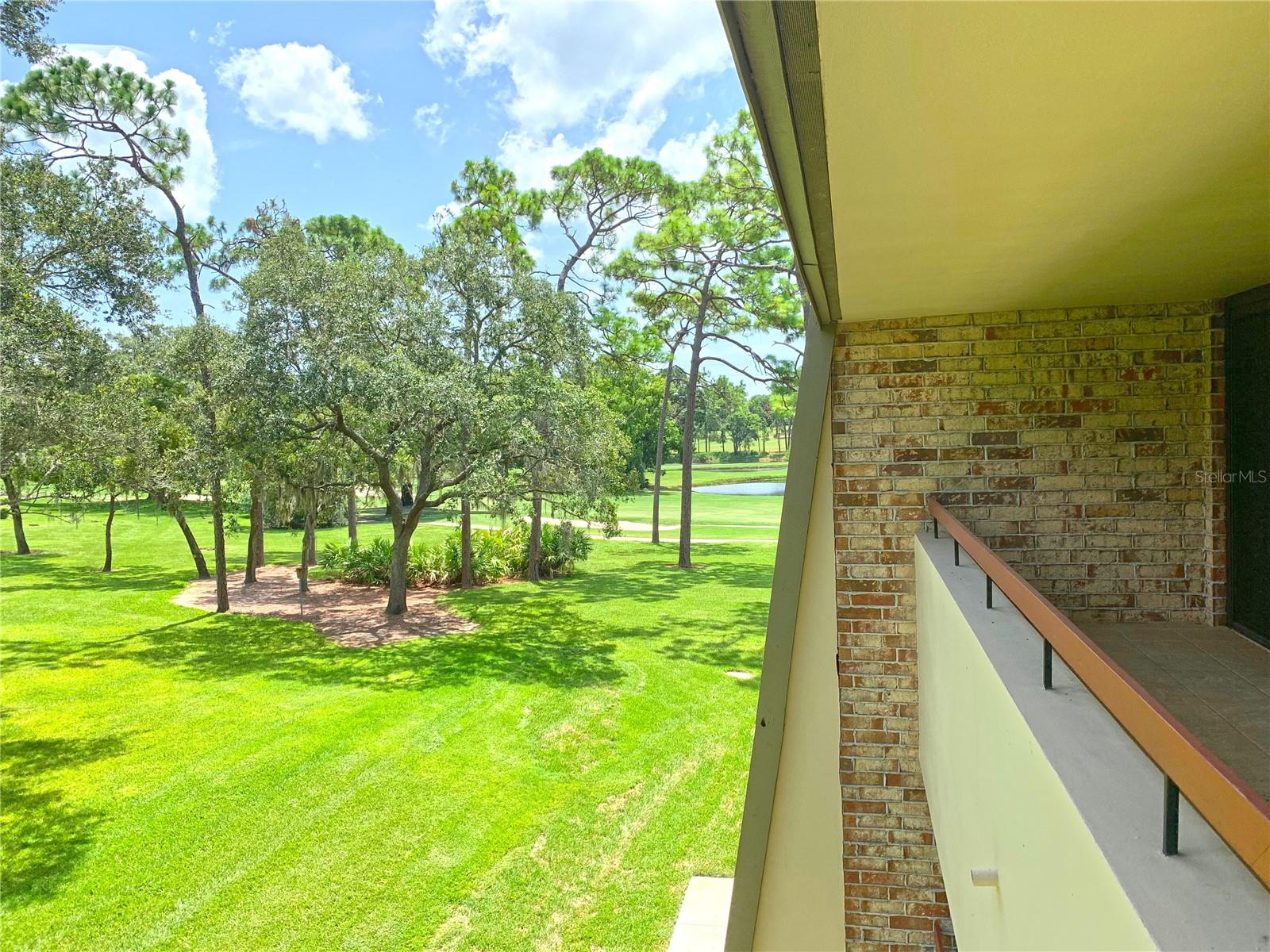 36750 Us Highway 19 N #21-302 Property Photo 33