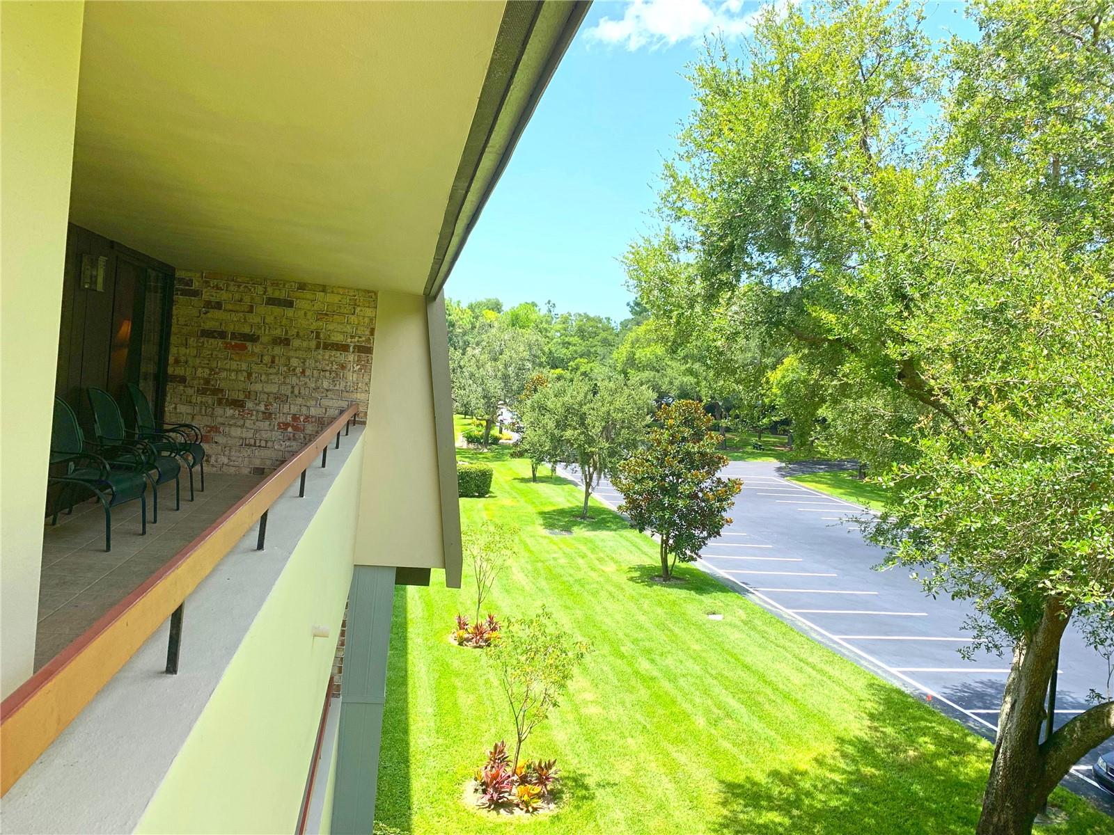 36750 Us Highway 19 N #21-302 Property Photo 35