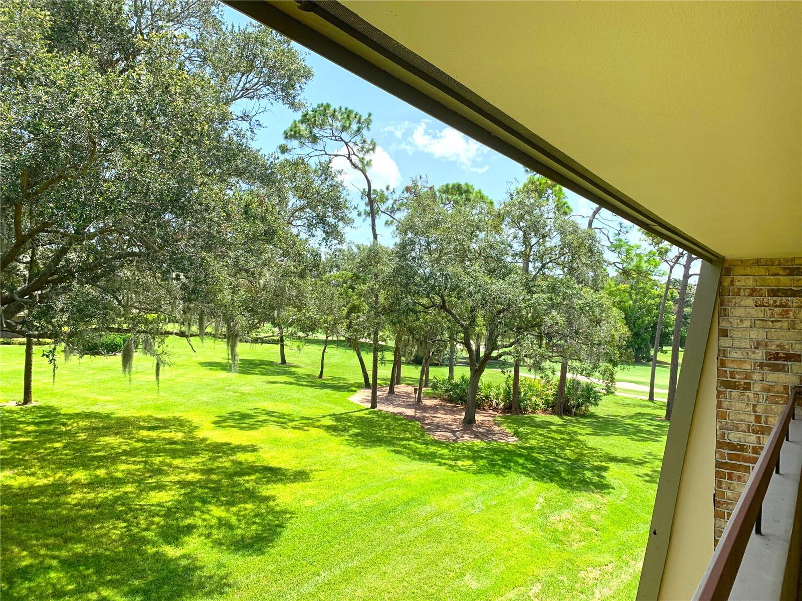 36750 Us Highway 19 N #21-302 Property Photo 36