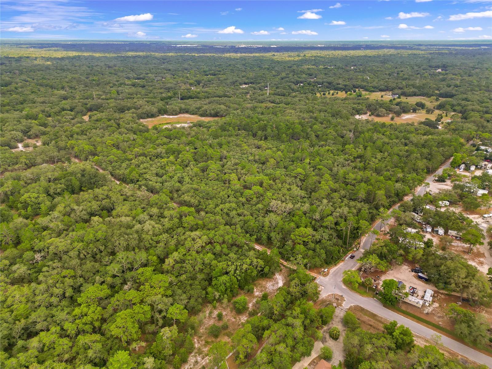 13231 Saddleback Trl Property Photo 74