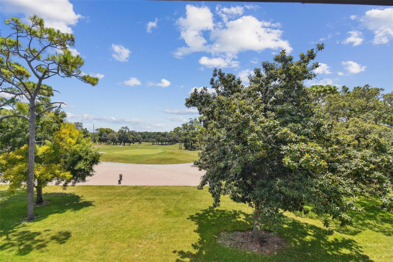 36750 Us Highway 19 N #15305 Property Photo 38