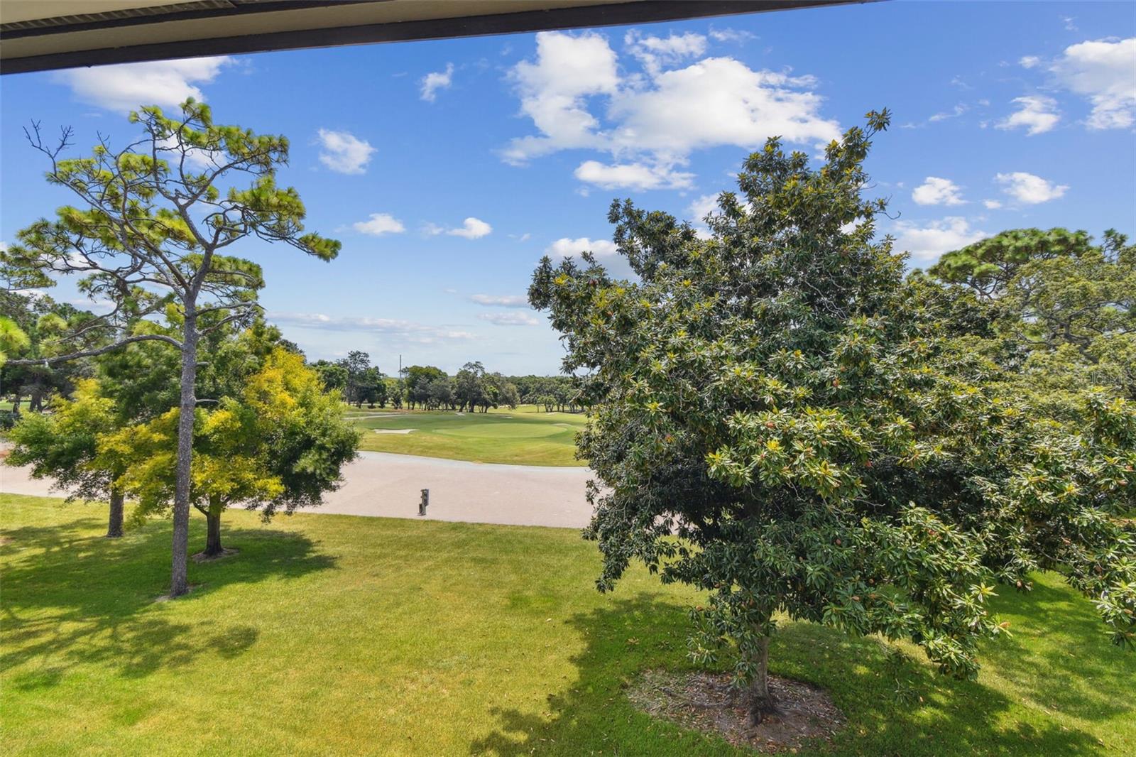 36750 Us Highway 19 N #15305 Property Photo 39