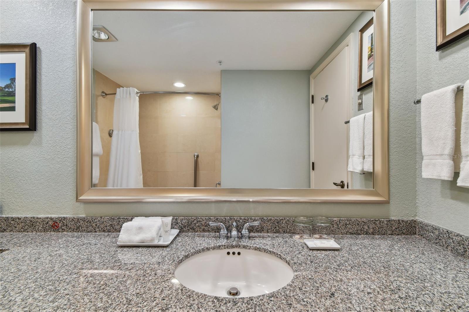 36750 Us Highway 19 N #15305 Property Photo 52