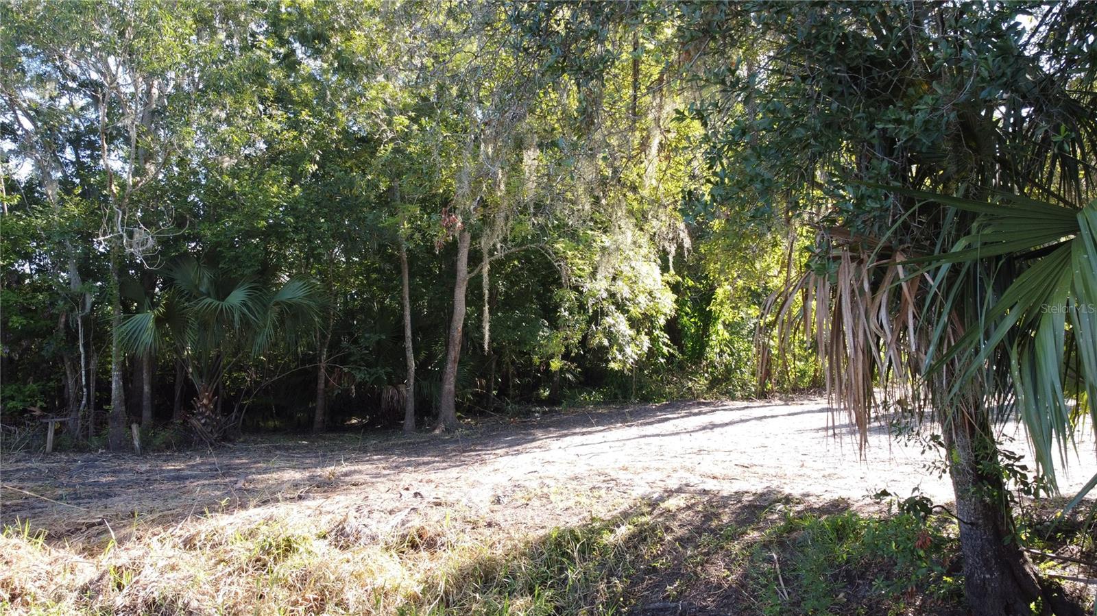 2315 Hontoon Rd Property Photo 16