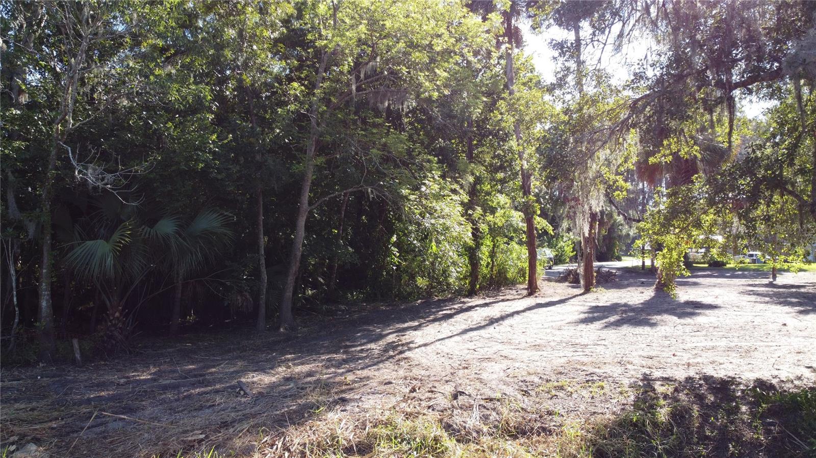 2315 Hontoon Rd Property Photo 17