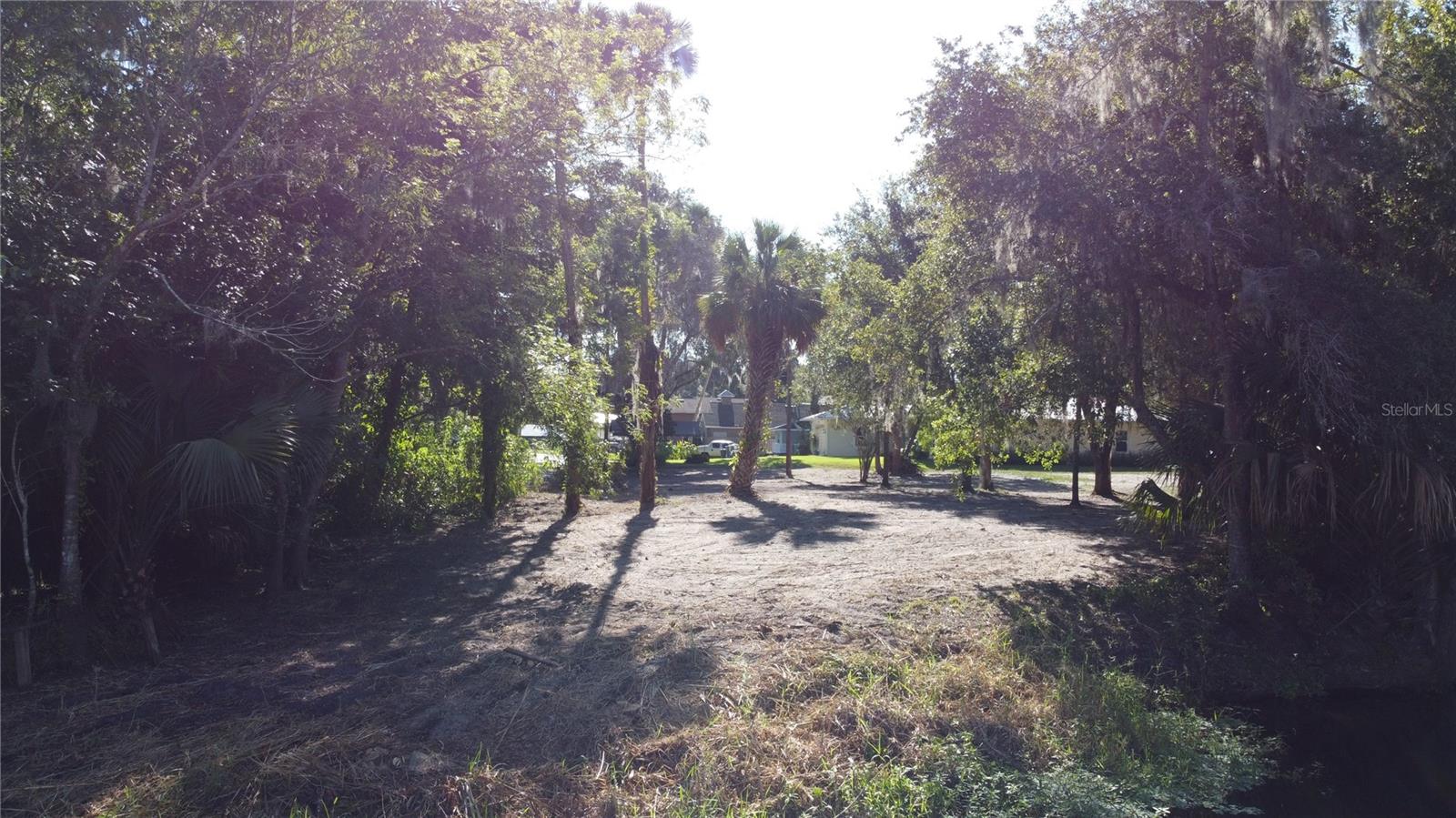 2315 Hontoon Rd Property Photo 19