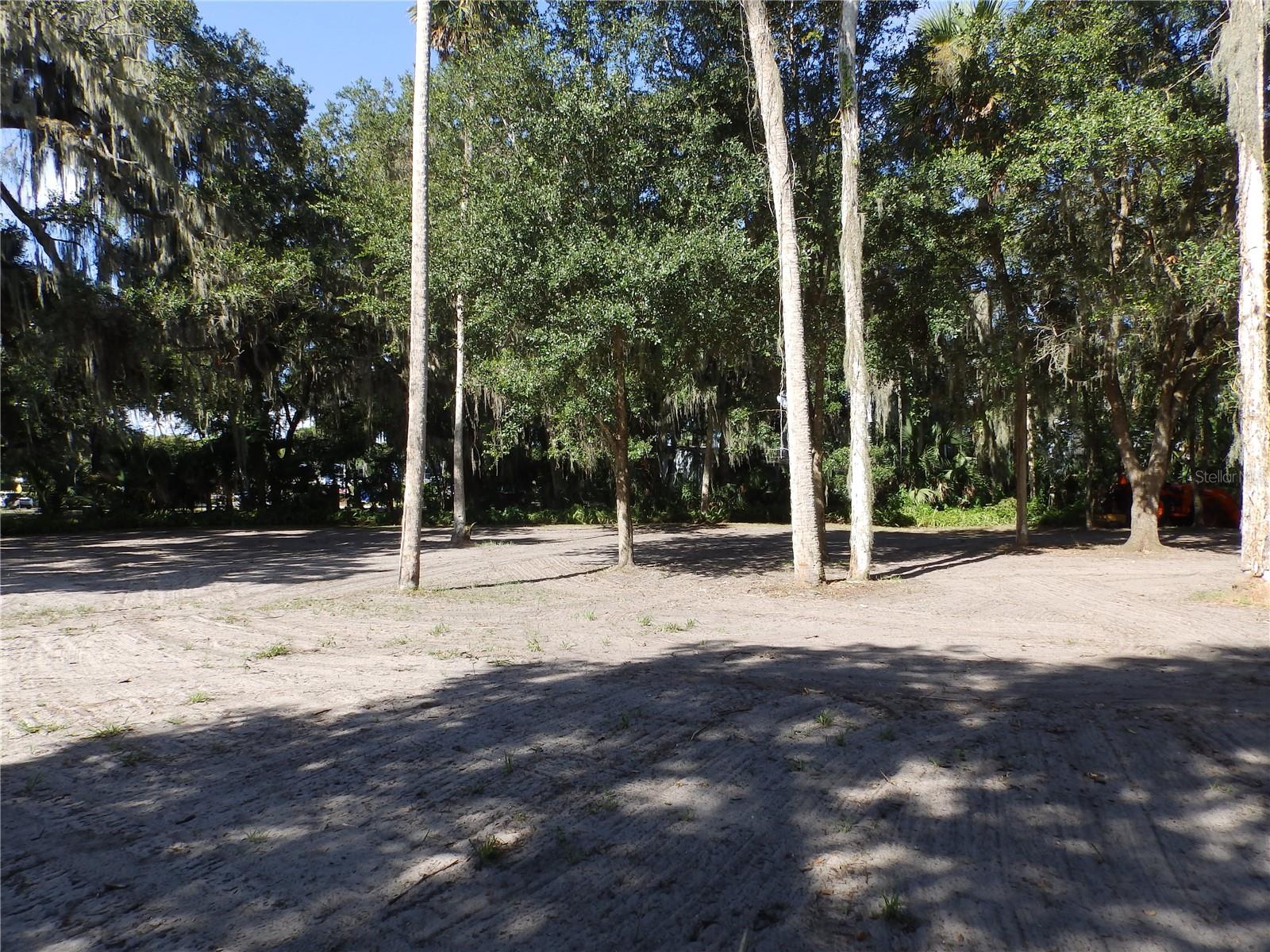 2315 Hontoon Rd Property Photo 28