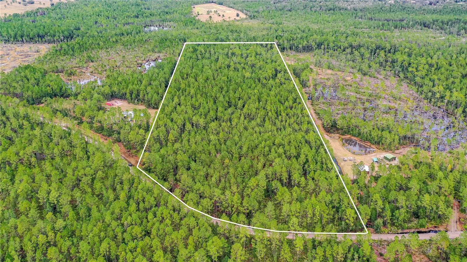 300 Volusian Forest Trl Property Photo