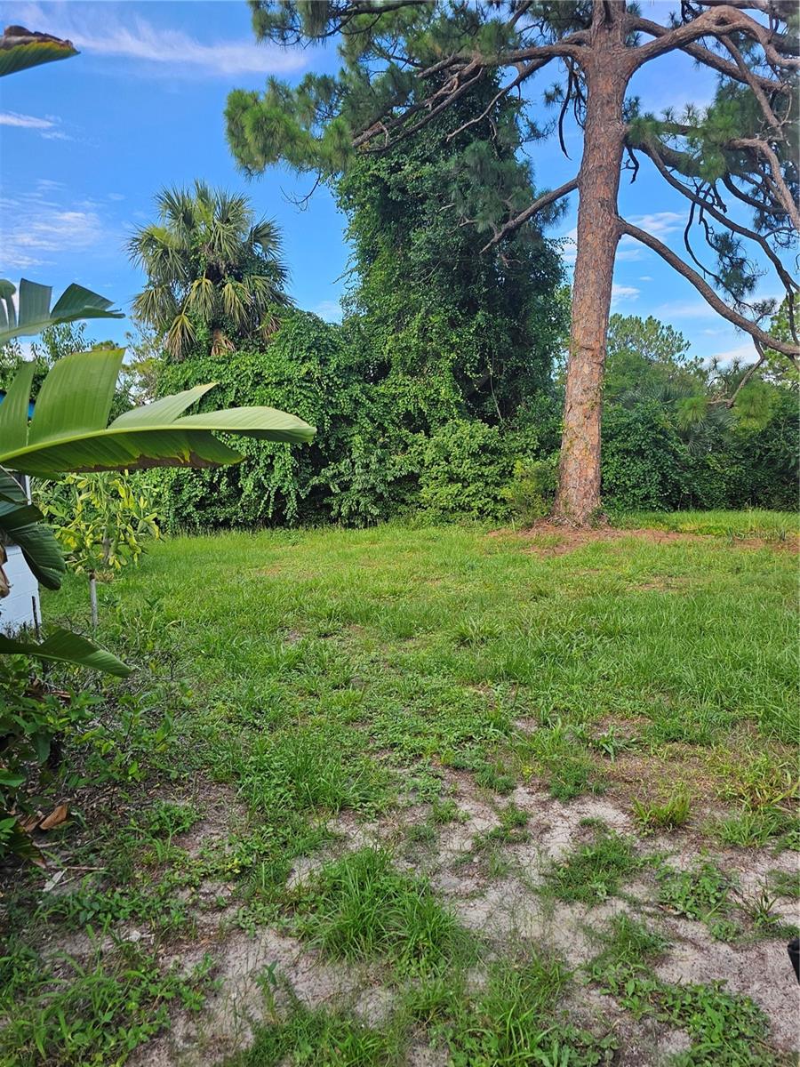 401 Cherry St Property Photo 5