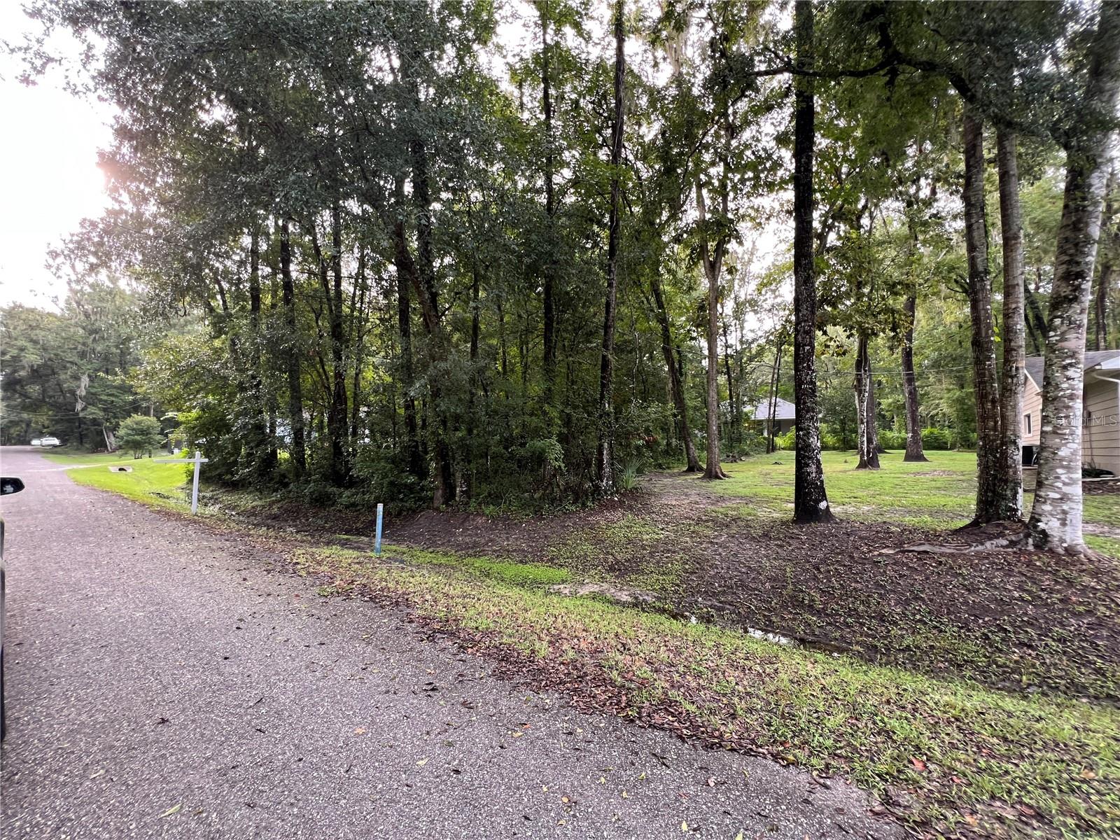 Fitzhugh Ave Property Photo 2