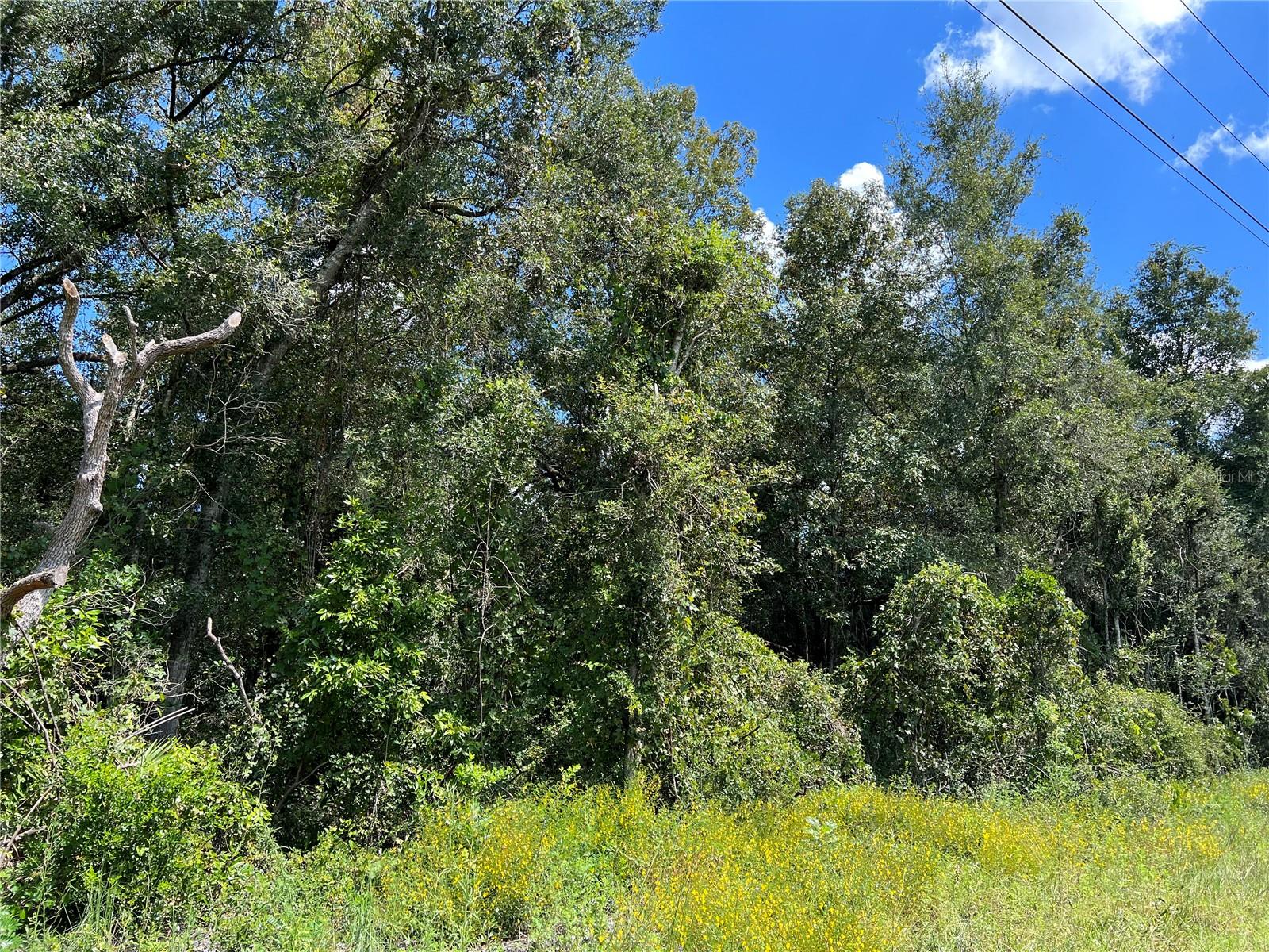 Nw Us 19 Hwy Property Photo 3