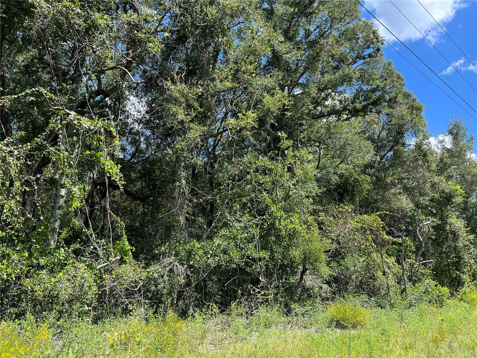 Nw Us 19 Hwy Property Photo 4