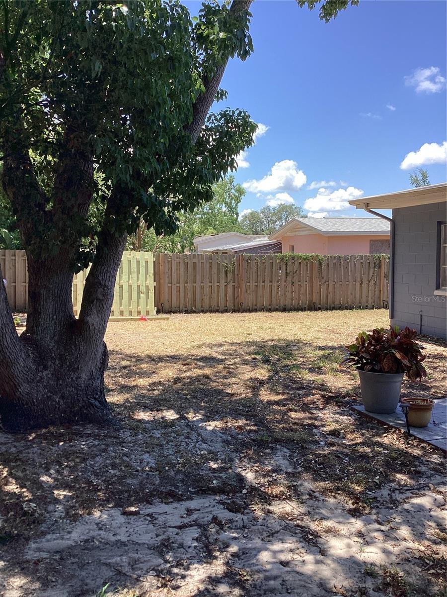1028 Embassy Ave Property Photo 3