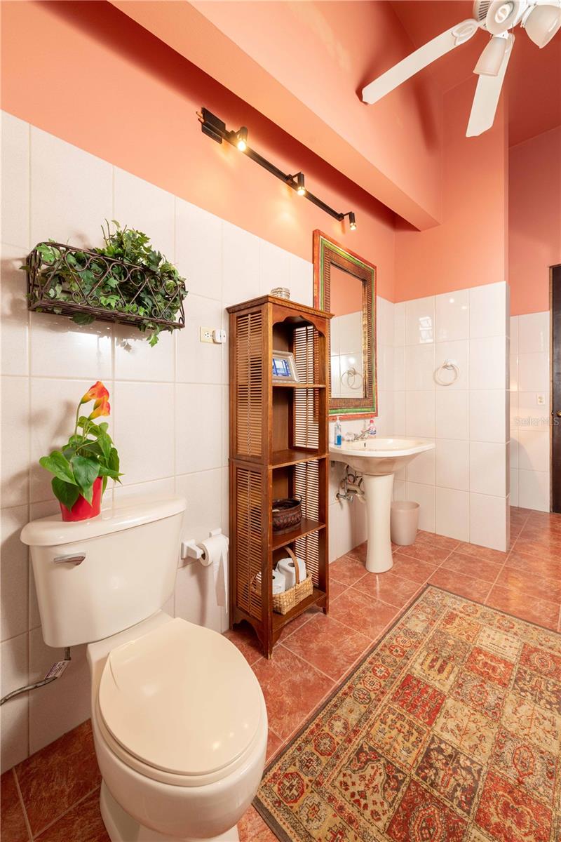 241 Calle Zenon Rosa Property Photo 10