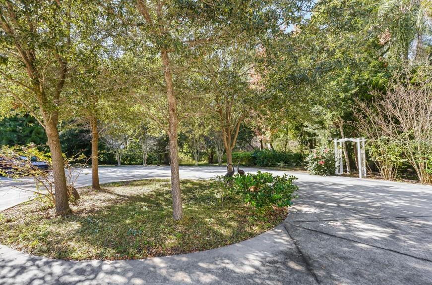 7210 N Habana Avenue Property Photo 46