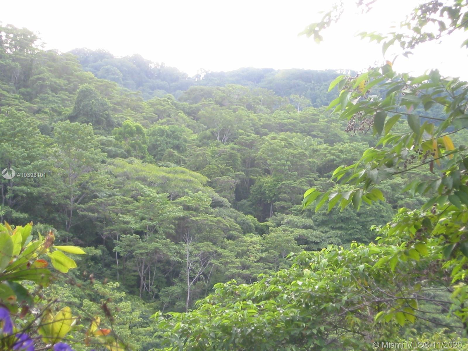 1 Carate Osa Peninsula Property Photo 12