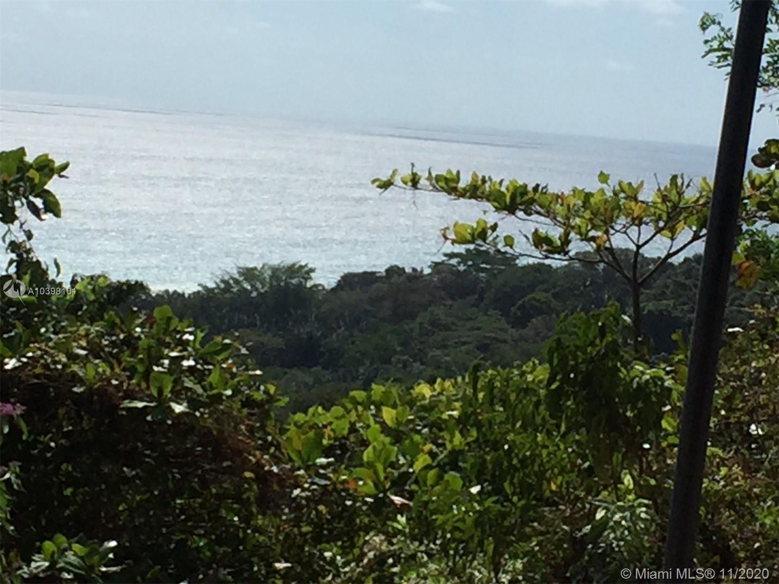 1 Carate Osa Peninsula Property Photo 25