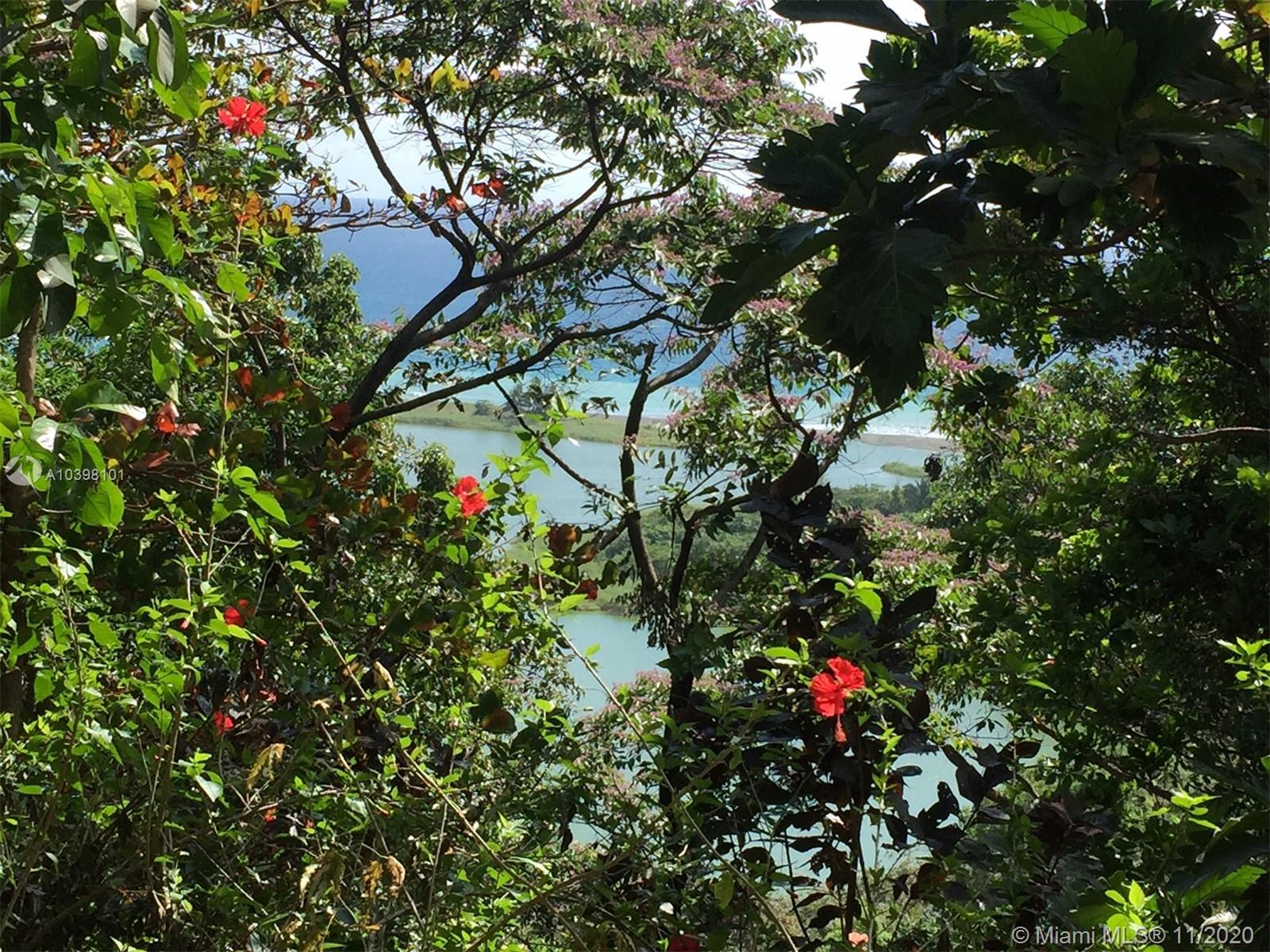 1 Carate Osa Peninsula Property Photo 26