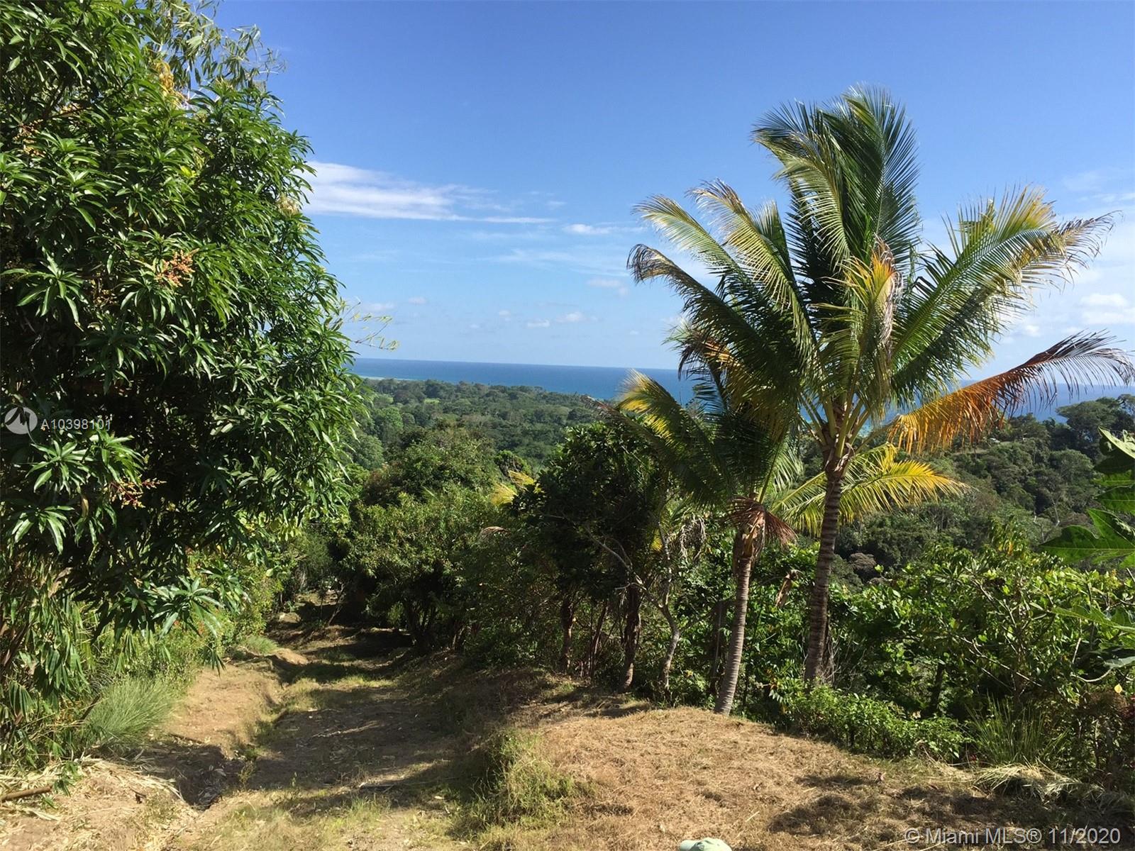 1 Carate Osa Peninsula Property Photo 27