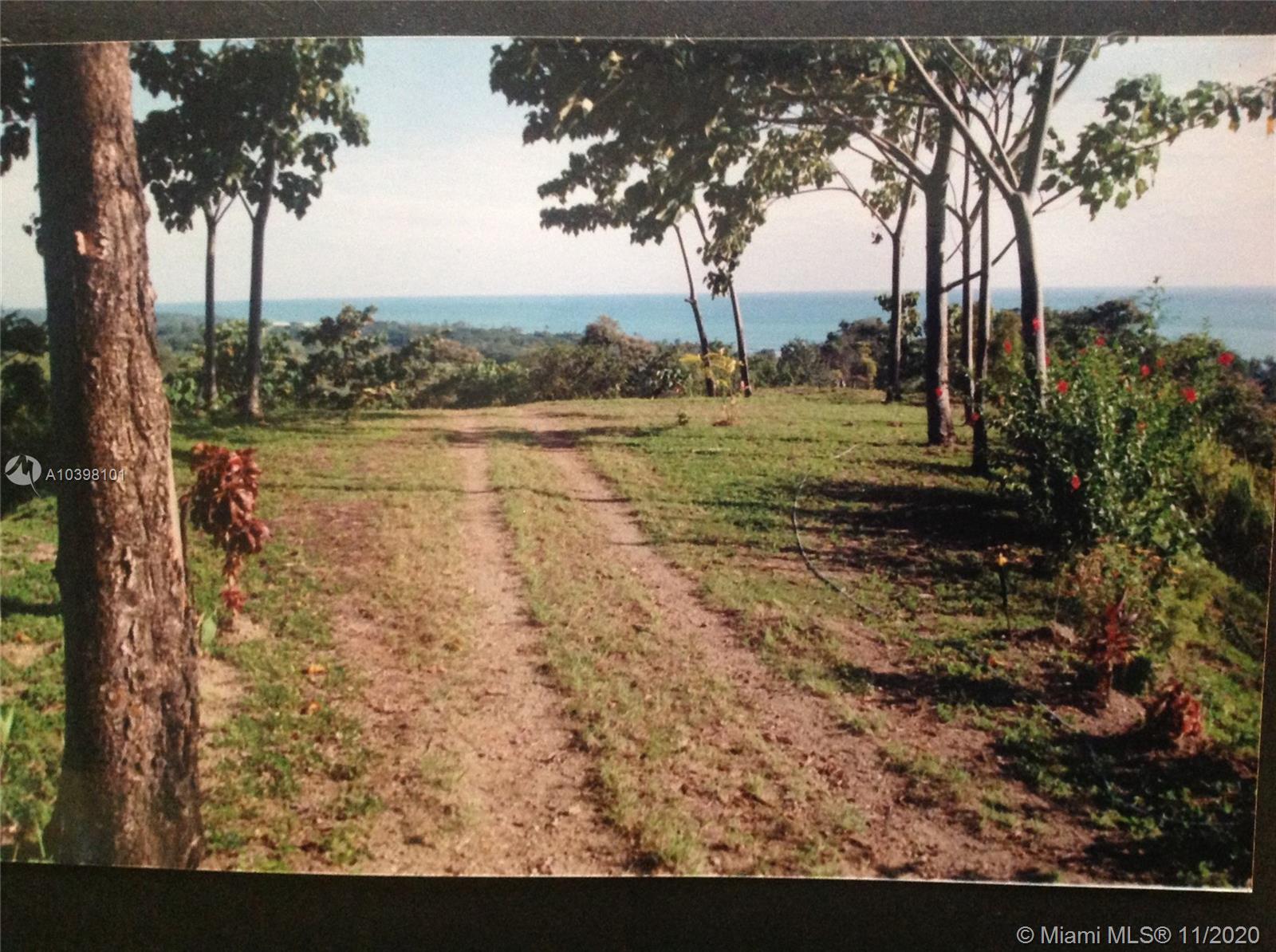 1 Carate Osa Peninsula Property Photo 29
