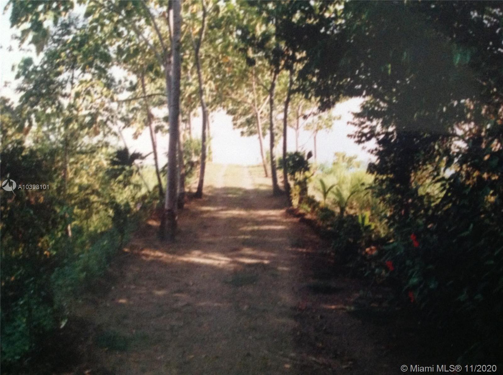 1 Carate Osa Peninsula Property Photo 31