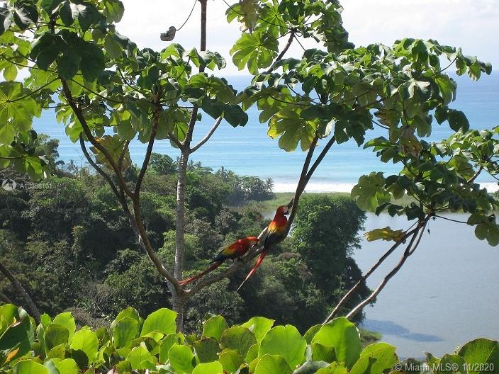 1 Carate Osa Peninsula Property Photo 40